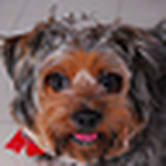 Profile Picture of Eva Kong (@evakong81) on Flickr