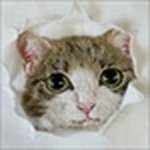 Profile Picture of hiroko kubota (@hiroko_embroidery) on Instagram
