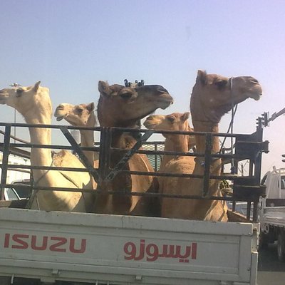 Profile Picture of David Hinchliffe (@wavydavyh) on Twitter