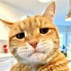 Profile Picture of Christian McAlpin (@@username69.3) on Tiktok