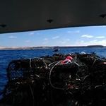 Profile Picture of Cody Joyce (@cody.joyce.1447) on Instagram