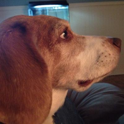 Thomas Spillman - Twitter Profile Picture of Thomas Spillman (@thomaspillman) on Twitter