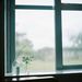 Profile Picture of Lam Lam (@nguyetha12hb) on Pinterest