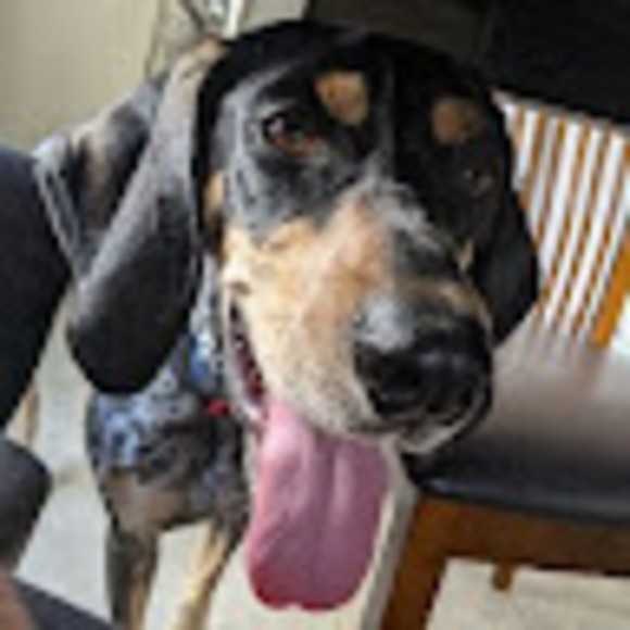 Profile Picture of Candice Bradshaw (@cmbradshaw8073) on Poshmark