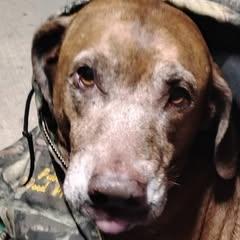 Profile Picture of Robert Spradlin (@robert.spradlin1) on Tiktok