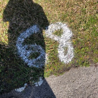 Profile Picture of Michael Bloomquist (@mrbloomquist) on Twitter