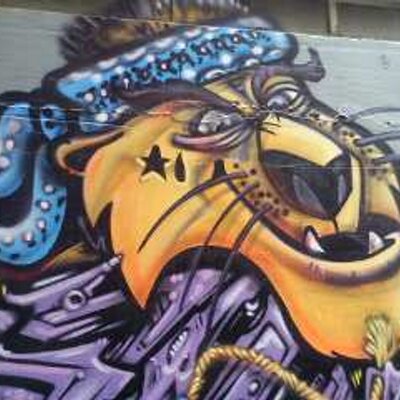 Profile Picture of Ian Buxton (@pinamani) on Twitter