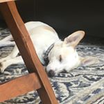 Profile Picture of James Hubbard (@nhmna) on Instagram