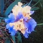 Profile Picture of Bill Pendleton (@pendleton.bill) on Instagram