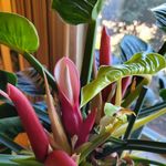 Profile Picture of Glenna Bennett Hughes (@gigihugh_) on Instagram