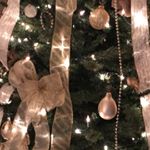 Profile Picture of Karen Mohr Eggert (@karenmohreggert) on Instagram