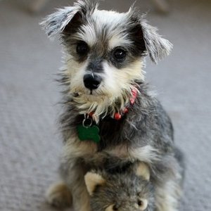 Profile Picture of Kelli Bredeson (@kellibredeson) on Myspace