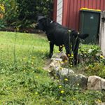 Profile Picture of Devi Gurung (@devi.gurung.566) on Instagram