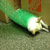 Profile Picture of Jason Slaven (@jasonslaven6264) on Youtube