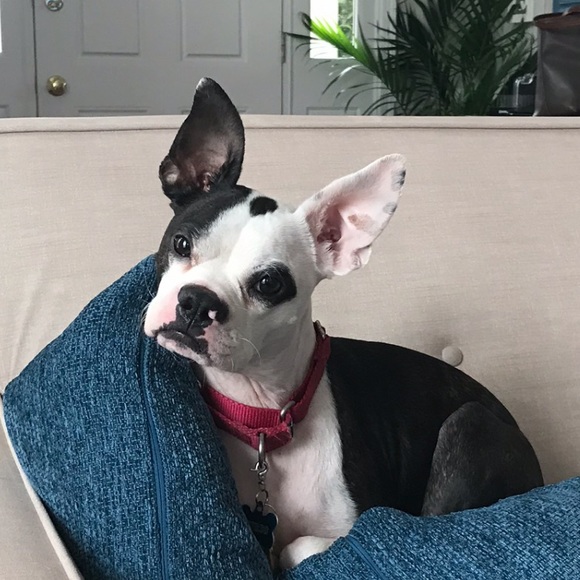 Profile Picture of Casey Derr (@casey_derr) on Poshmark