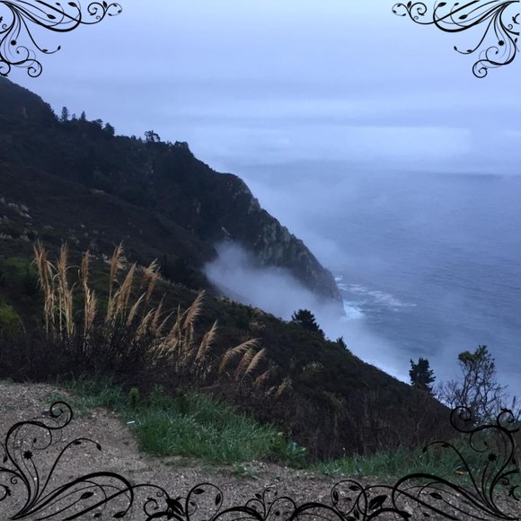 Profile Picture of June Camerlengo (@junecamerlengo) on Poshmark