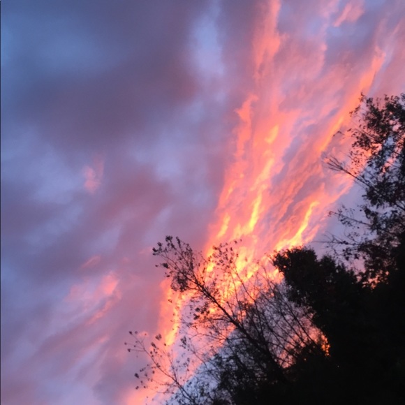 Profile Picture of Brian Orellana (@brian117) on Poshmark