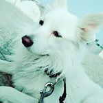 Profile Picture of JIMMY SONI (@jimmy1soni) on Instagram