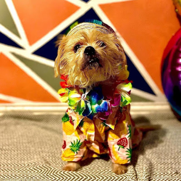 Profile Picture of Charlotte Prokosch (@bffrusty) on Poshmark