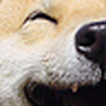 Profile Picture of MonicaExtension (@MonicaExtension) on Flickr