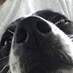Profile Picture of Matthew Serrano (@serranoscloset) on Instagram