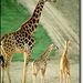 Profile Picture of Cynthia Daniels-Hall (@cyndi52) on Pinterest