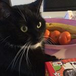 Profile Picture of Misty (@misty_griffenfeldt) on Instagram