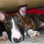 Profile Picture of Jerome Schreiber (@schreiberjerome) on Instagram