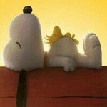 Profile Picture of Andries Pieters (@andrewpieters) on Instagram