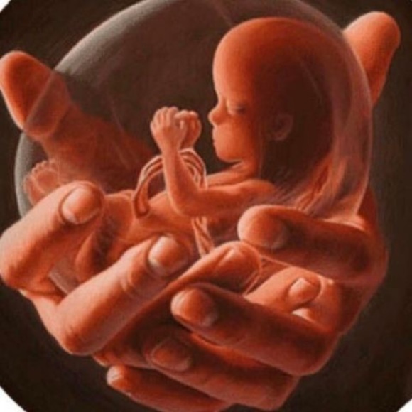 Profile Picture of Jen Bright (@jenbright590) on Poshmark