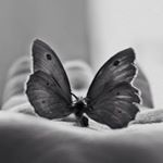 Profile Picture of Jamie Cormier-DeHart (@jmdehart26) on Instagram