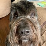 Profile Picture of Jacob Saul (@jacob_saul1) on Instagram