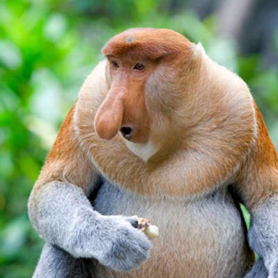 Profile Picture of Rick Riggs (@riggszy) on Twitter