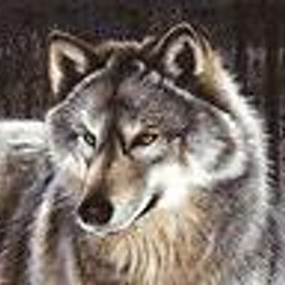 Profile Picture of Joshua Bonner (@JettinJosh) on Twitter