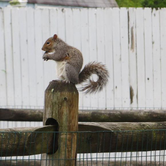 Nanna Pollock-stankovics - Poshmark Profile Picture of Nanna Pollock-stankovics (@nstank103) on Poshmark