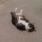 Profile Picture of Maxine Allen (@maxine.smith.52643821) on Instagram