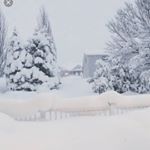 Profile Picture of Troy Anderson (@troy_anderson_15) on Instagram