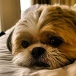 Profile Picture of Marie Seefeld (@marieandjonseefeld) on Instagram