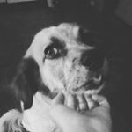 Profile Picture of Michael Bandeira (@michael_vish_kk) on Instagram