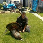 Profile Picture of Lee Frantz (@lee_frantz) on Instagram