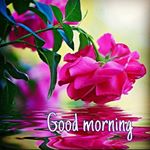 Profile Picture of Neelam Singh (@neesha.singh.927) on Instagram