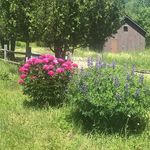 Profile Picture of Carmin Lemery (@hotmessyankeee) on Instagram