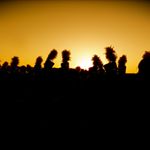 Profile Picture of Joe Overton (@overjoe) on Instagram