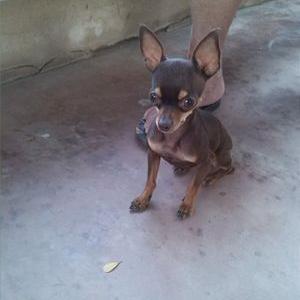 Profile Picture of Robin Matos (@Robinmatos01) on Twitter