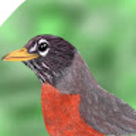 Profile Picture of Robin Foster (@33robinfoster33) on Poshmark