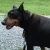 Profile Picture of Paula Danner (@danner0178) on Pinterest