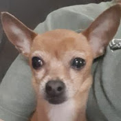 Profile Picture of Hailey Hicks (@haileyhicks3033) on Youtube