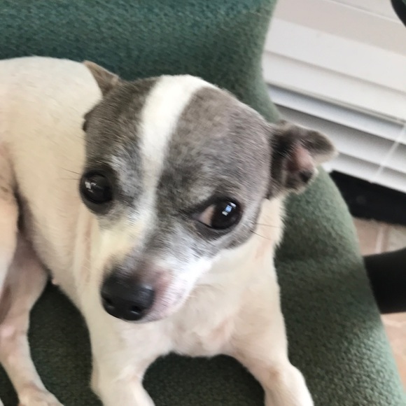 Profile Picture of Loretta Mullens (@m4mullens) on Poshmark