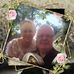 Profile Picture of Bob Pyle (@Bob-Pyle) on Facebook