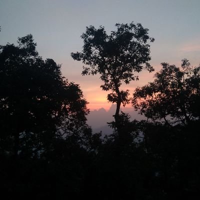 Profile Picture of Samuel Edison (@SamuelEdison5) on Twitter